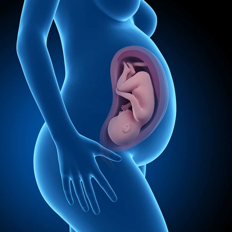 Bụng tụt, sa xuống thấp